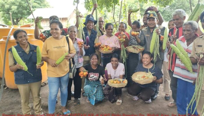 Alami Krisis Pangan, Begini Langkah Antisipasi DPKP Kabupaten Lembata