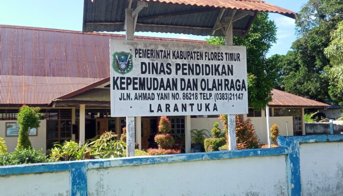 Kejaksaan Diminta Selidiki, Dinas PKO Flores Timur Diduga Sarangnya Pungli dan Korupsi