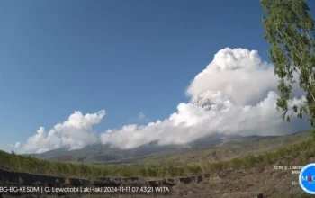 Gunung Lewotobi Laki-Laki di Flores Timur NTT masih terus bergejolak hingga hari ini, Senin (11/11/2024). (Harianwarga.id/Dok PVMBG)