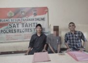 Kasus Persetubuhan Anak di Bawah Umur Yang Terjadi di Adonara, Kuasa Hukum N.B.H Minta Penyidik Objektif dan Transparan
