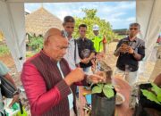 Bupati Tuaq Jajaki Kerja Sama Investasi dengan PT Tigate Trees Indonesia di Flores Timur. Harianwarga/Istimewa.