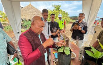 Bupati Tuaq Jajaki Kerja Sama Investasi dengan PT Tigate Trees Indonesia di Flores Timur. Harianwarga/Istimewa.