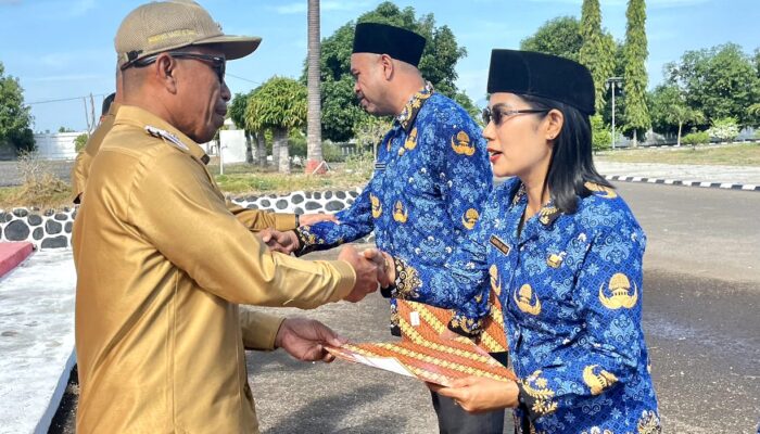 Wabup Nasir Serahkan 255 SK PPPK Paruh Waktu, Ini Pesannya