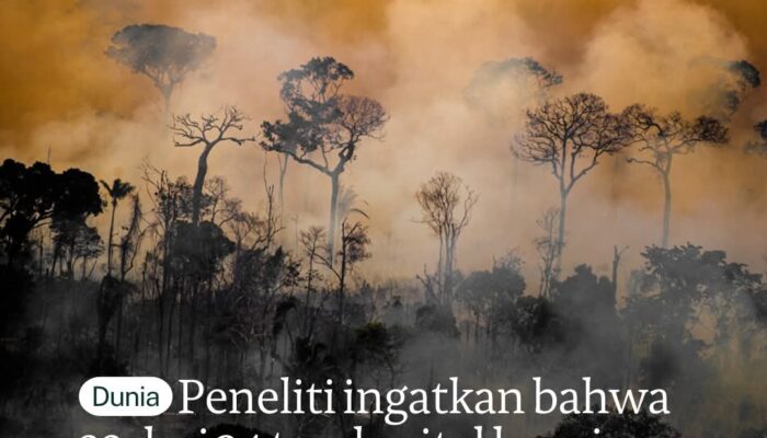 22 dari 34 Tanda Vital Bumi dalam Kondisi Darurat, Ilmuwan Peringatkan Krisis Iklim Global Makin Parah