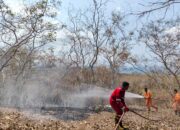 Damkar Satpol-PP Gerak Cepat Padamkan Kebakaran di Desa Waowala, Yono Lalang: Damkar Selalalu Siap