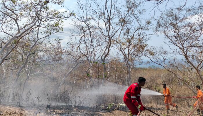 Damkar Satpol-PP Gerak Cepat Padamkan Kebakaran di Desa Waowala, Yono Lalang: Damkar Selalalu Siap
