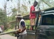 Tingkatkan Ketahanan Pangan Lokal: KDMP Desa  Lewomuda Memulai Melaksanakan Program Usaha Ternak Ayam Petelur