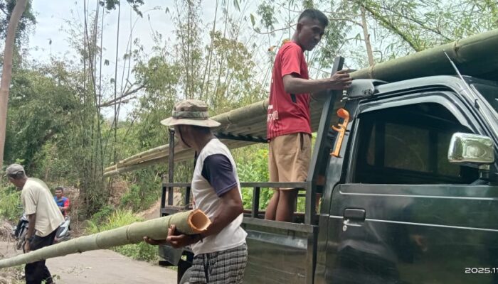 Tingkatkan Ketahanan Pangan Lokal: KDMP Desa  Lewomuda Memulai Melaksanakan Program Usaha Ternak Ayam Petelur