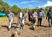 Hadiri Tanam Perdana Jagung di Desa Dua Wutun Loang, Bupati Kanis Tuaq: Awali Musim Tanam dengan Harapan Besar