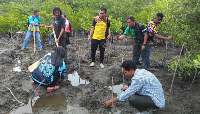 Tanam Mangrove di Hari Pahlawan, IGORNAS Lembata Tunjukkan Aksi Nyata