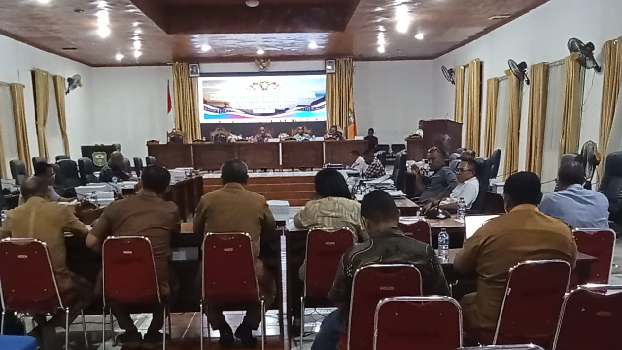 Suasana Rapat Banggar DPRD Flores Timur bersama TAPD, Selasa (25/11/2025). Foto: Harianwarga/RS.