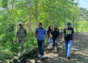 Bupati Lembata, P. Kanisius Tuaq, S.P, melakukan kunjungan kerja ke Desa Tapobaran dalam rangka penanaman perdana jagung hibrida pada lahan ekspansi. Foto: Harianwarga/Istimewa.