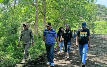 Bupati Lembata, P. Kanisius Tuaq, S.P, melakukan kunjungan kerja ke Desa Tapobaran dalam rangka penanaman perdana jagung hibrida pada lahan ekspansi. Foto: Harianwarga/Istimewa.