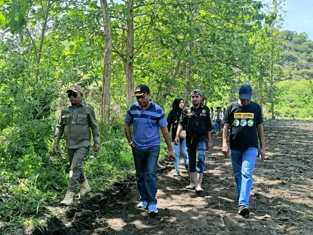 Bupati Lembata, P. Kanisius Tuaq, S.P, melakukan kunjungan kerja ke Desa Tapobaran dalam rangka penanaman perdana jagung hibrida pada lahan ekspansi. Foto: Harianwarga/Istimewa.