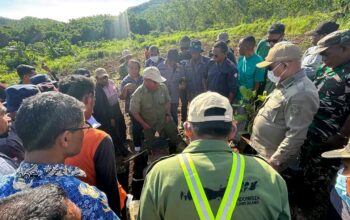 PT Tigate Trees Indonesia Tinjau Lahan di Watanglolong, Bupati Lembata Dorong Kerja Sama Perkebunan Mente Berbasis Teknologi. Foto: Harianwarga/Team.