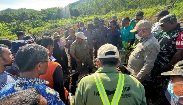 PT Tigate Trees Indonesia Tinjau Lahan di Watanglolong, Bupati Lembata Dorong Kerja Sama Perkebunan Mente Berbasis Teknologi