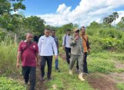 Dorong Perubahan Pola Beternak, Bupati Lembata Pantau Langsung Pengembangan Ternak di Pasir Putih