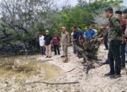 Lembata Bidik Posisi Sentra Garam Nasional, Investasi 5.000 Hektare Siap Produksi 500 Ton per Hari. Foto: Istimewa.