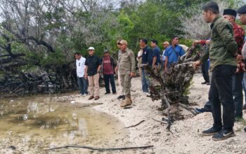 Lembata Bidik Posisi Sentra Garam Nasional, Investasi 5.000 Hektare Siap Produksi 500 Ton per Hari. Foto: Istimewa.