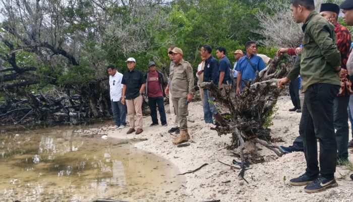 Lembata Bidik Posisi Sentra Garam Nasional, Investasi 5.000 Hektare Siap Produksi 500 Ton per Hari