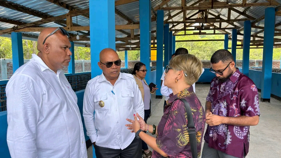 Bupati Lembata dan PT. Prime Timor Tinjau Bukit Hog, Dorong Ekspor Daging Babi Organik ke Timor Leste. Foto: Istimewa.
