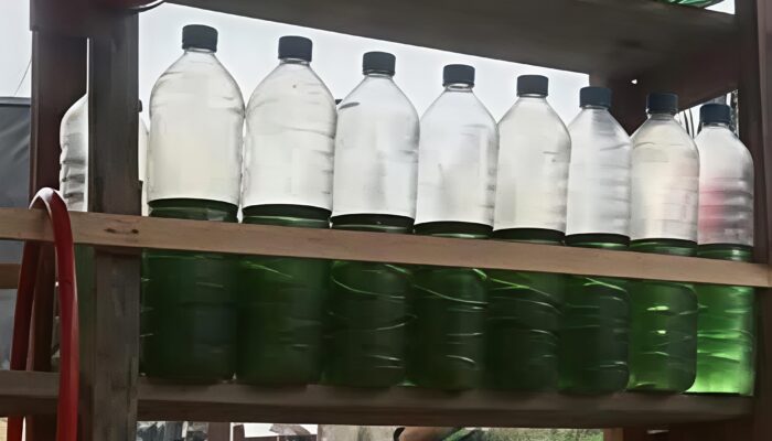 Harga BBM Naik Gila – gilaan, Pertalite Dijual Rp. 35.000 per Liter