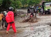 Luapan banjir dari gunung lewotobi laki-laki menuju desa Dulipali kecamatan Ilebura. Foto: Istimewa.