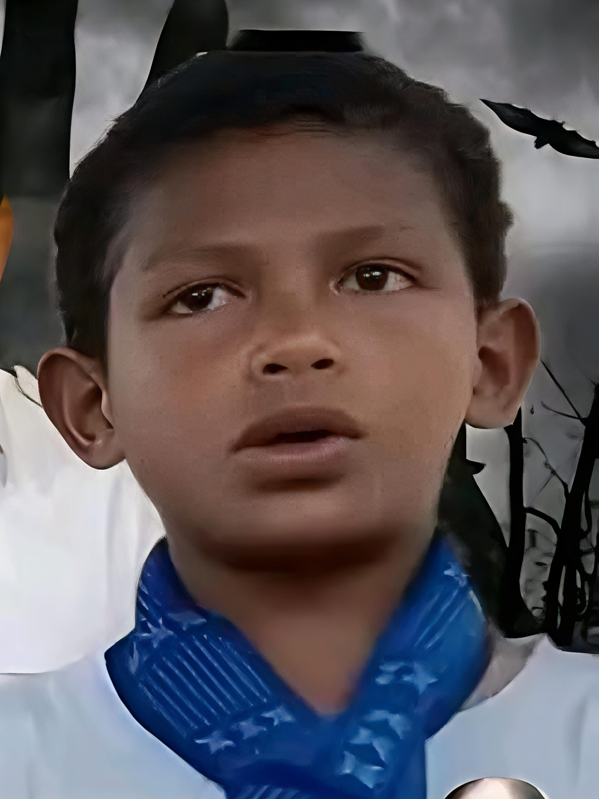 YBR, Cahaya dari Ngada. Foto: Istimewa.