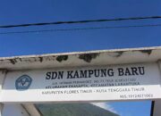 SDN Kampung Baru, Ekasapta, Flores Timur. Foto: Istimewa.