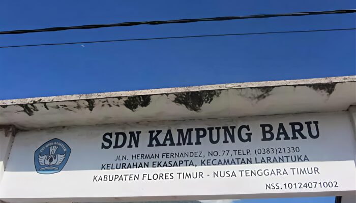 Kemerdekaan Pendidikan Anak Ekasapta Dicabut: Kontroversi Pengeluaran Siswa SDN Kampung Baru