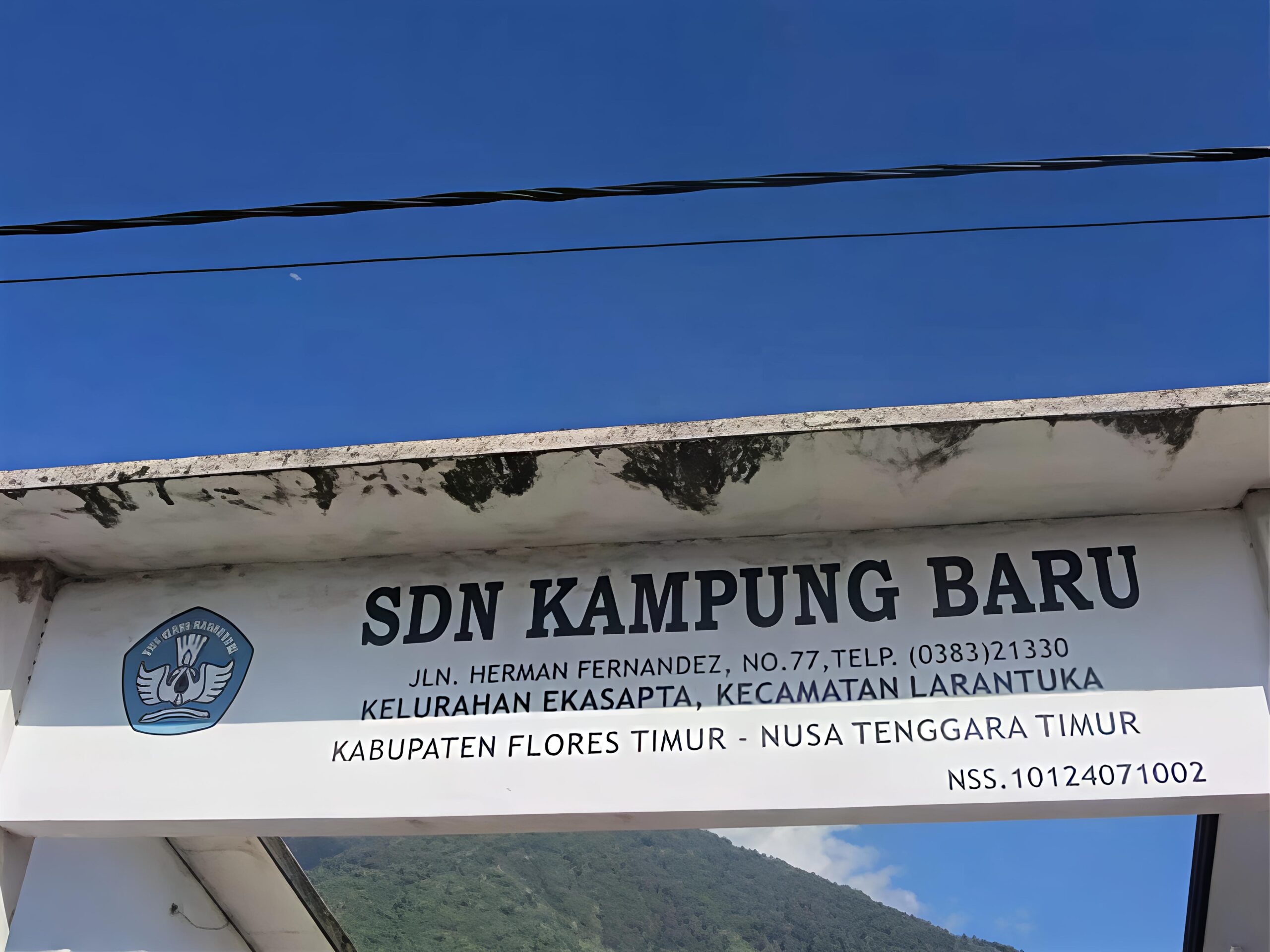 SDN Kampung Baru, Ekasapta, Flores Timur. Foto: Istimewa.