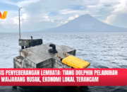 Tiang Dolphin Pelabuhan Feri Waijarang Rusak. (Foto: Istimewa).
