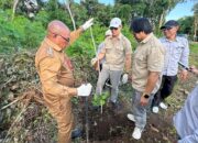 Pemkab Lembata Dorong Produksi Jambu Mente Unggulan Lewat Program Pohon Induk di Watanlolon