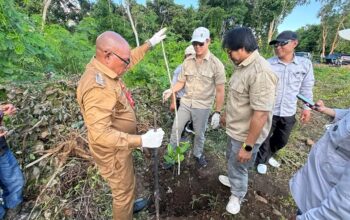 Pemkab Lembata Dorong Produksi Jambu Mente Unggulan Lewat Program Pohon Induk di Watanlolon