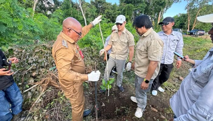 Pemkab Lembata Dorong Produksi Jambu Mente Unggulan Lewat Program Pohon Induk di Watanlolon