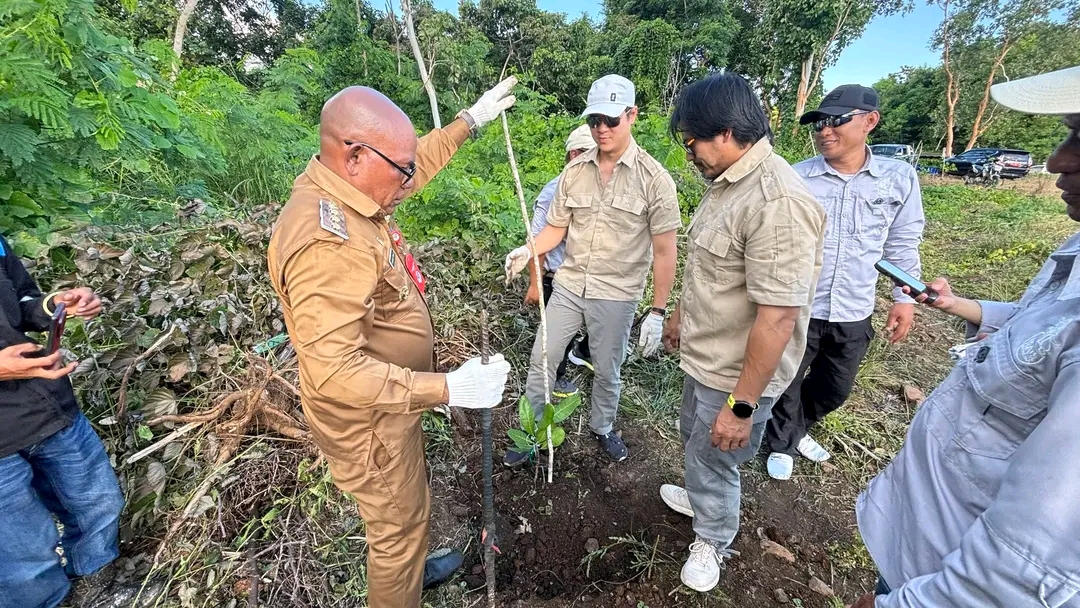 Pemkab Lembata Dorong Produksi Jambu Mente Unggulan Lewat Program Pohon Induk di Watanlolon. Foto: Istimewa.