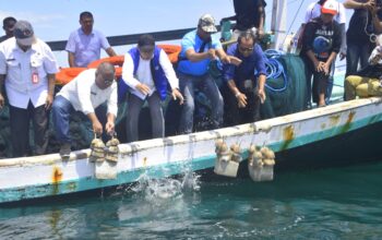 Festival Muro 2026: Merawat Pesisir, Melestarikan Budaya Lembata. Foto: Istimewa.