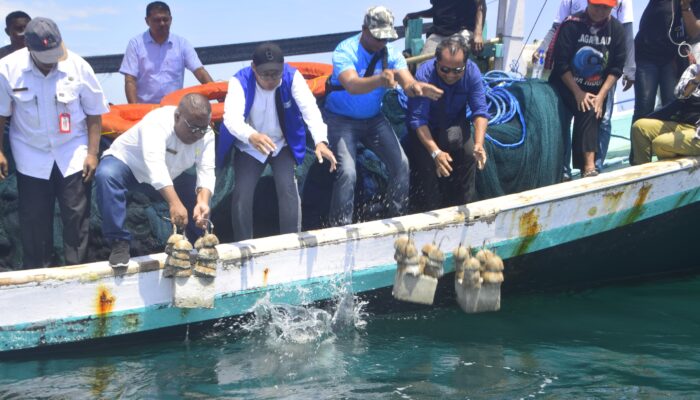 Festival Muro 2026: Merawat Pesisir, Melestarikan Budaya Lembata