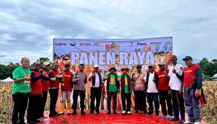 Wakil Bupati Lembata H. Muhamad Nasir Hadiri Panen Raya Jagung PT. SMJ di Ile Ape