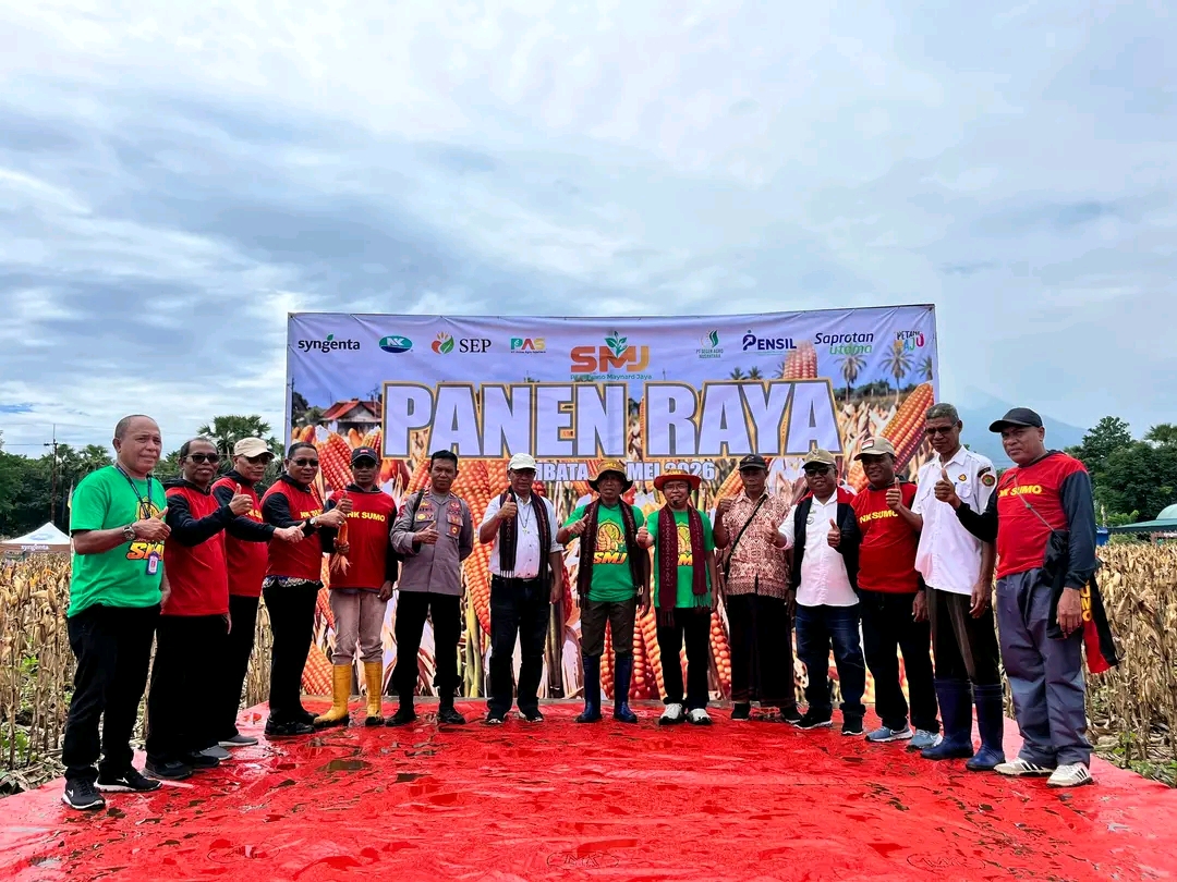 Wakil Bupati Lembata H. Muhamad Nasir Hadiri Panen Raya Jagung PT. SMJ di Ile Ape. Foto: Istimewa.