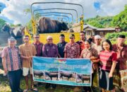 Pemerintah Salurkan Sapi Kurban ke Desa di Lembata, Wujud Kehadiran Negara Menjelang Idul Adha 1447 H. Foto: Istimewa.