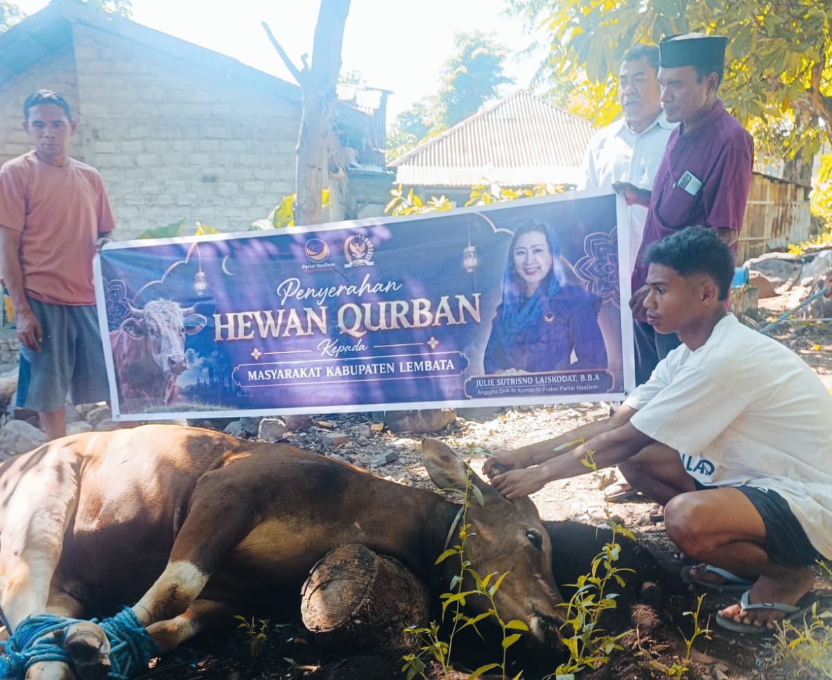 Penyembelihan Sapi Kurban Bantuan Julie Sutrisno Laiskodat Berlangsung Khidmat di Desa Kalikur. Foto: Istimewa.