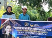 Fraksi NasDem Salurkan Sapi Kurban di Lembata, Julie Sutrisno Laiskodat Tekankan Solidaritas Sosial. Foto: Harian Warga.