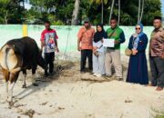 Ketua PC Fatayat NU Lembata, Yuni Damayanti SE, Salurkan Hewan Kurban Idul Adha 1447 H. Foto: Istimewa.