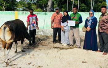 Ketua PC Fatayat NU Lembata, Yuni Damayanti SE, Salurkan Hewan Kurban Idul Adha 1447 H. Foto: Istimewa.