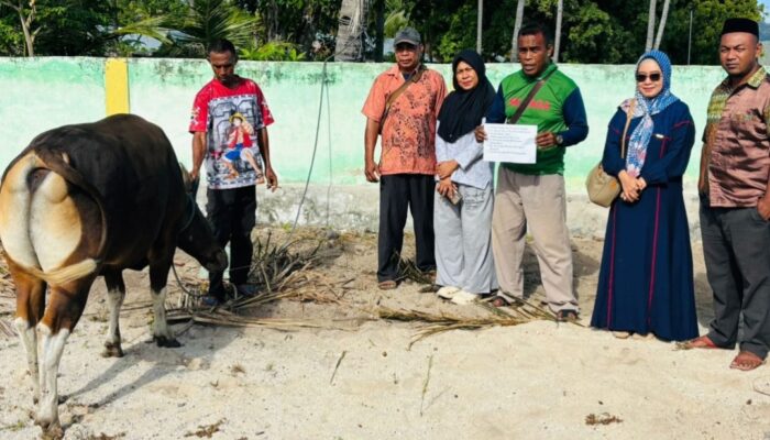Ketua PC Fatayat NU Lembata, Yuni Damayanti SE, Salurkan Hewan Kurban Idul Adha 1447 H