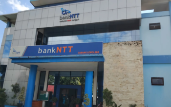 Kantor Bank NTT Cabang Lewoleba. Foto: Istimewa.