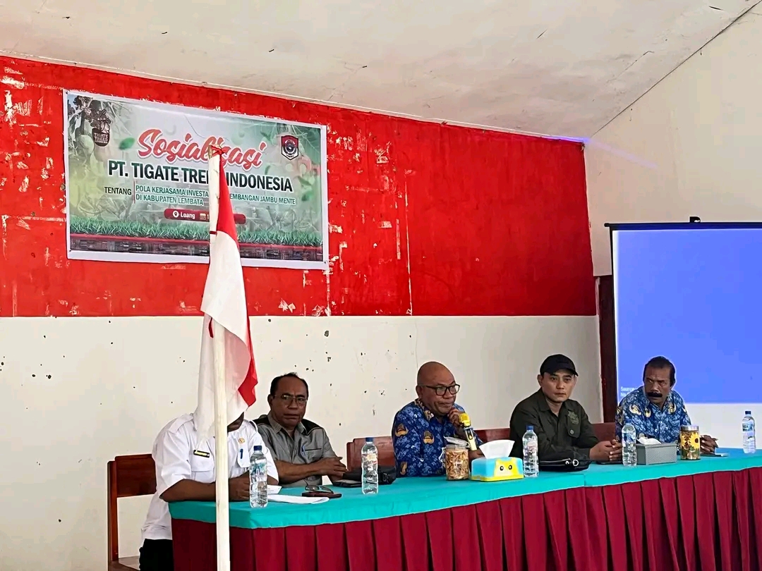 Pemkab Lembata dan PT Tigate Trees Indonesia Gelar Sosialisasi Investasi Perkebunan Jambu Mete Terpadu. Foto: Istimewa.