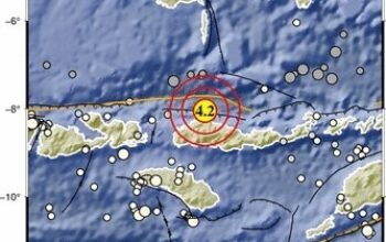 Info Gempa. Foto: BMKG.
