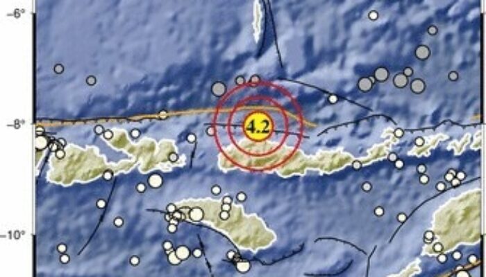 Gempa M7,7 di Laut Flores: Potensi Tsunami Mengancam Sejumlah Wilayah